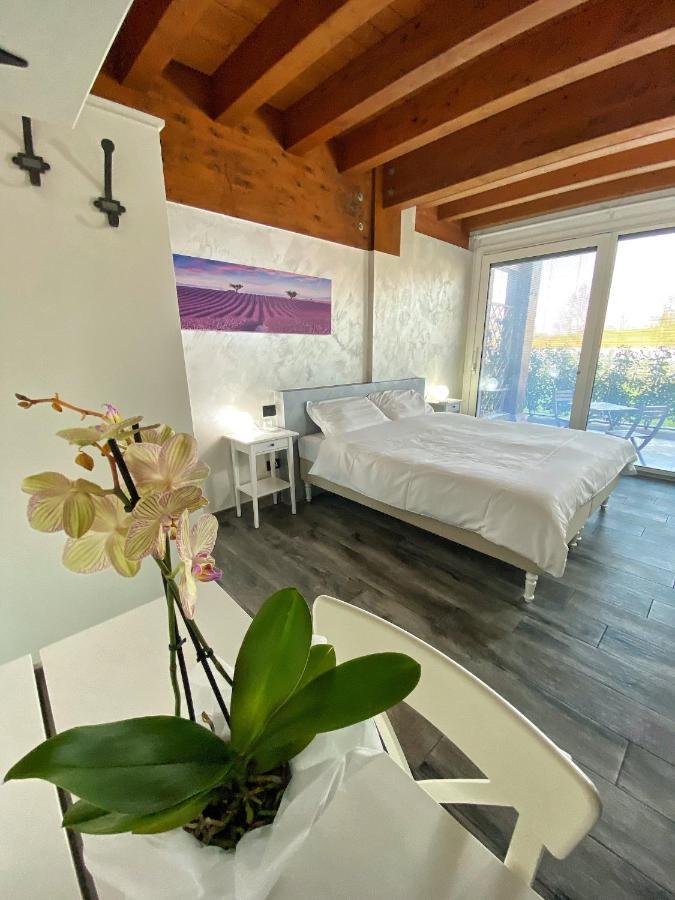 Agriturismo Albana 카스티리오네델레스티비에레 외부 사진