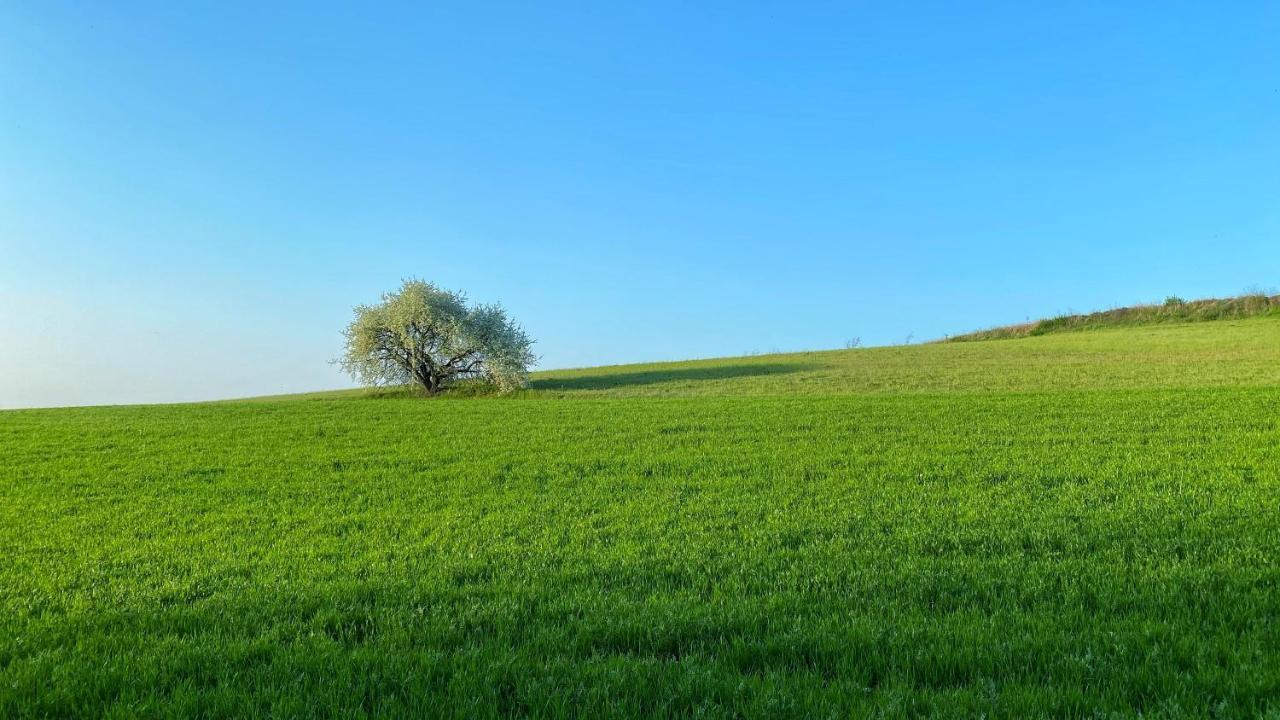 Agriturismo Albana 카스티리오네델레스티비에레 외부 사진